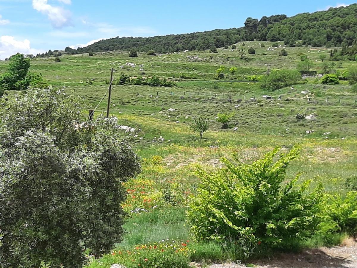 Casa Rural "Eccehomo De Borja" Buitenkant foto