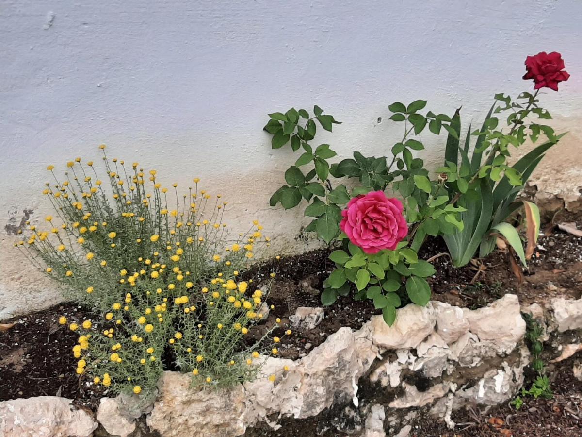 Casa Rural "Eccehomo De Borja" Pension Buitenkant foto