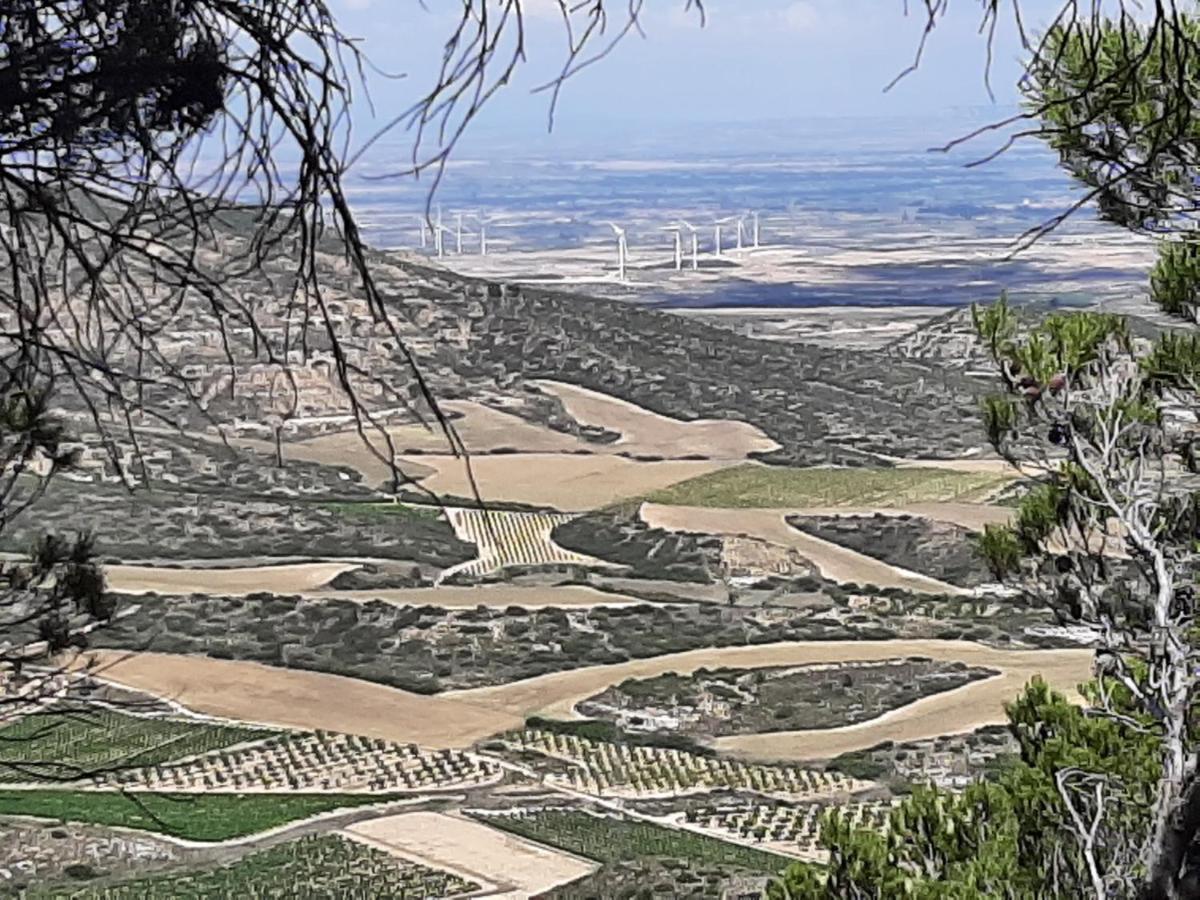 Casa Rural "Eccehomo De Borja" Pension Buitenkant foto