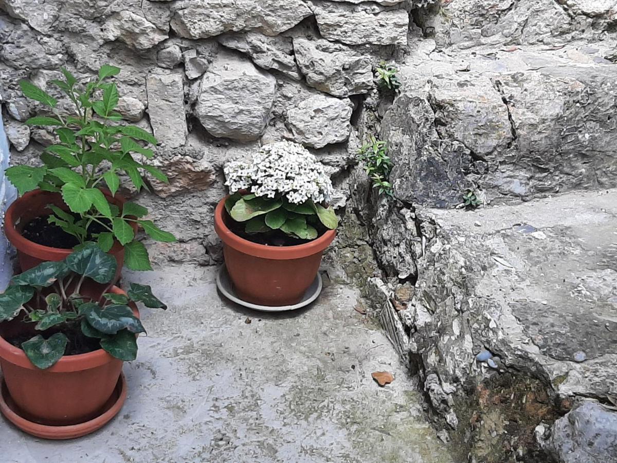 Casa Rural "Eccehomo De Borja" Buitenkant foto