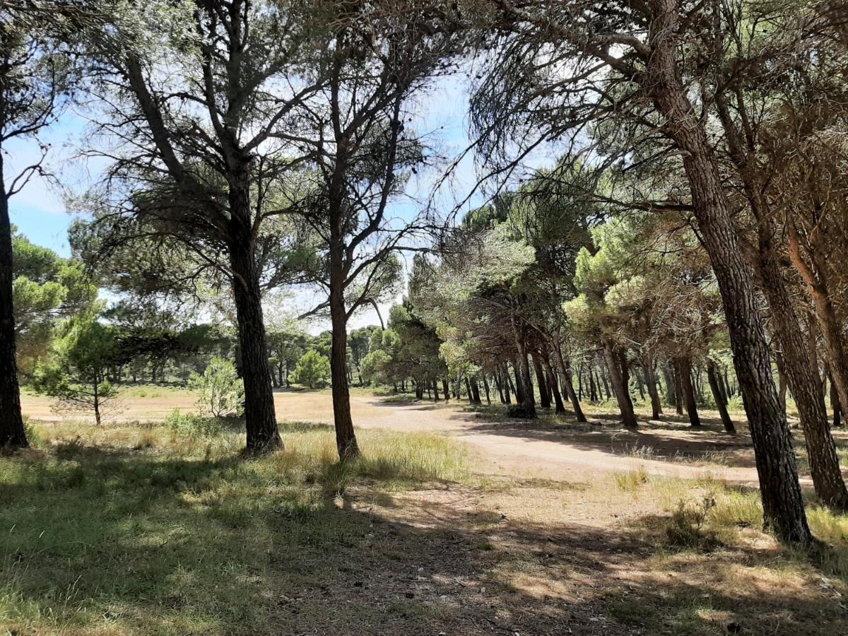 Casa Rural "Eccehomo De Borja" Buitenkant foto