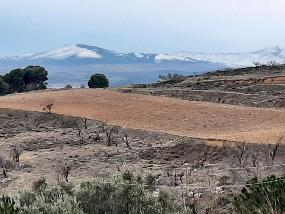 Casa Rural "Eccehomo De Borja" Pension Buitenkant foto