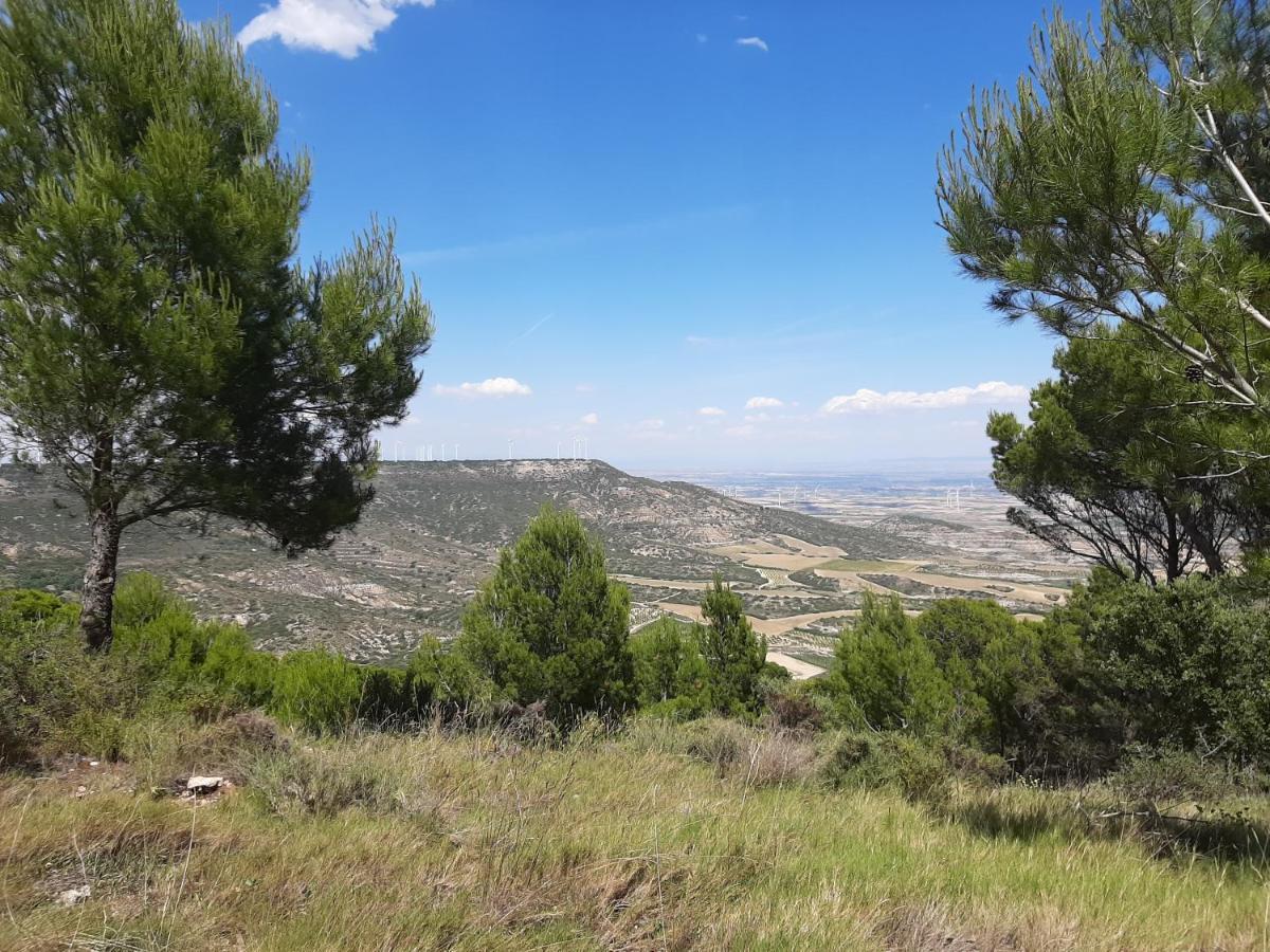 Casa Rural "Eccehomo De Borja" Pension Buitenkant foto